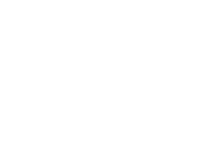 Connelly's Flowers