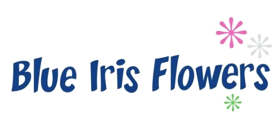 BLUE IRIS FLOWERS