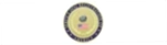 ESA Registration Of America