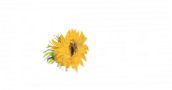 Van Gogh Vegas