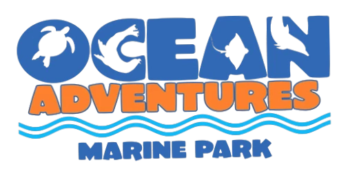Ocean Adventures