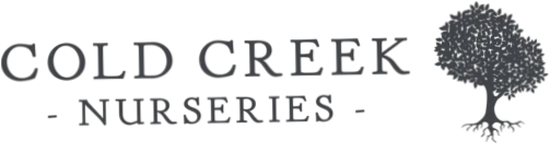 Cold Creek