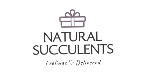 Natural Succulents