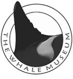 Whale Museum