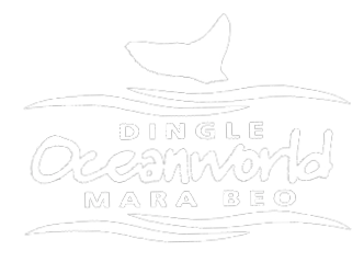 Dingle OceanWorld