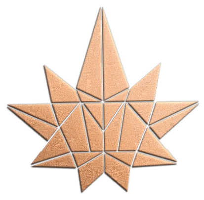 ASHE Society