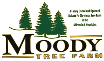 Moody Tree Farm