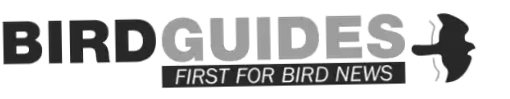 BirdGuides