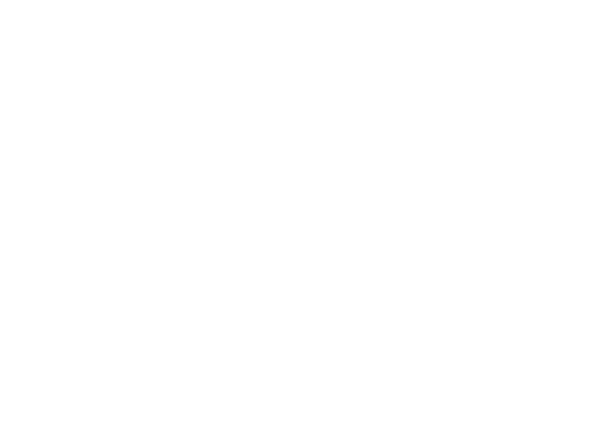 Flacos Tacos