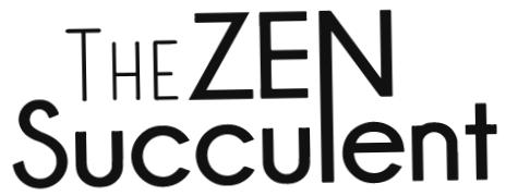 The Zen Succulent