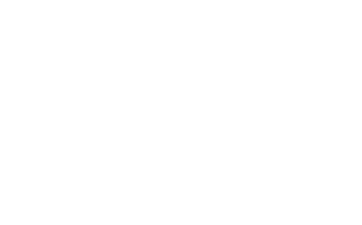 Bodywork Professionals