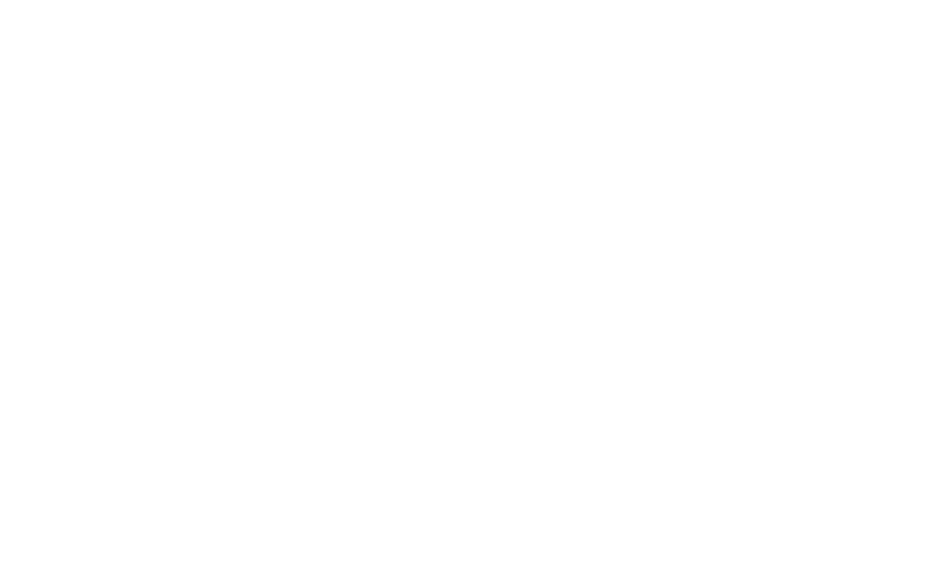 Sam Patch