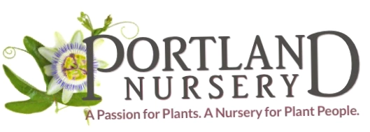 Portland Nursery