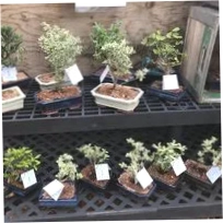 Tall Grass Farms