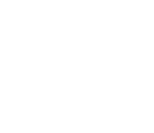Carolina Ground
