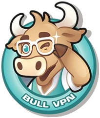 Bull VPN