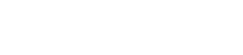 Directive Consulting