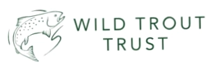Wild Trout