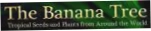 Banana Tree