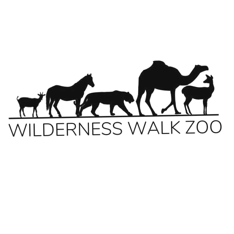 Wilderness Walk Zoo