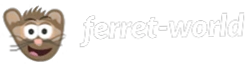 Ferret World