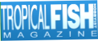 Tropical Fish Hobbyist