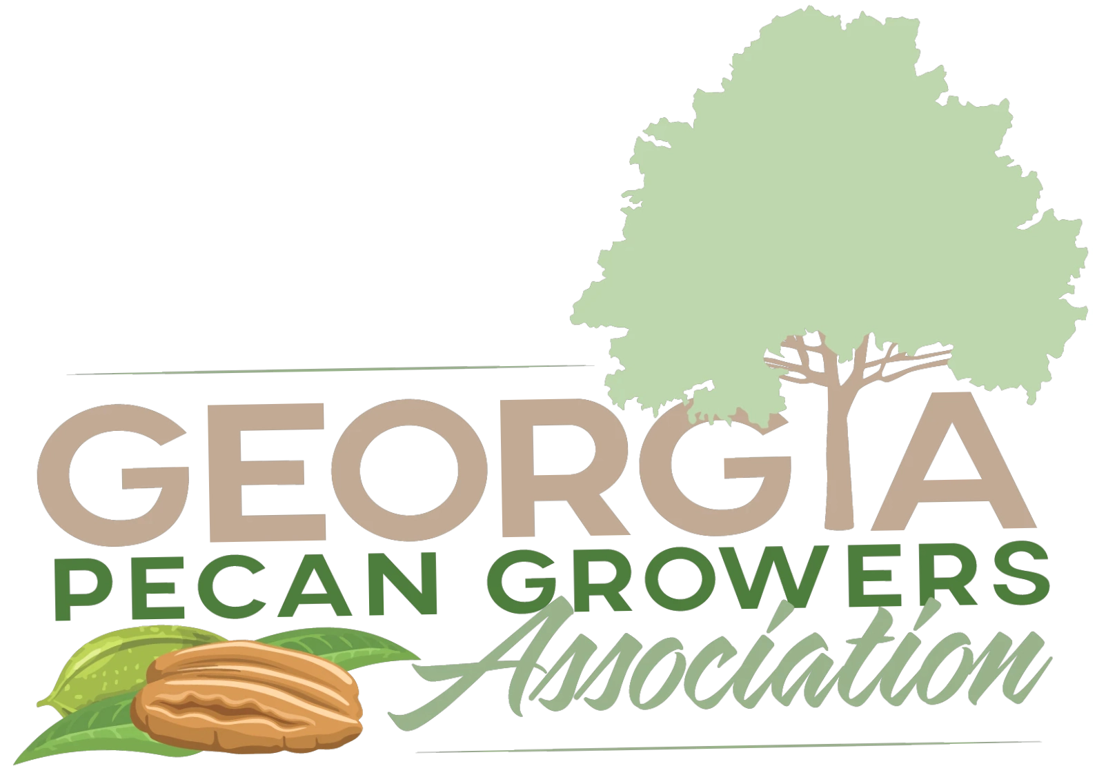 Georgia Pecan