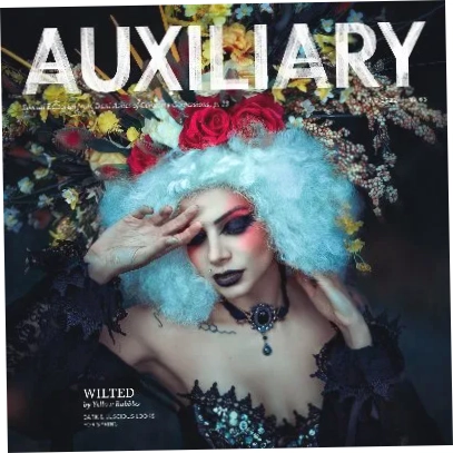 Auxiliary Magazine