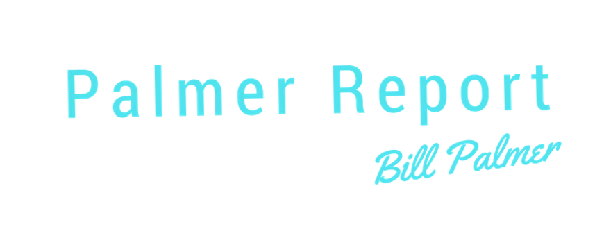 Palmer Report