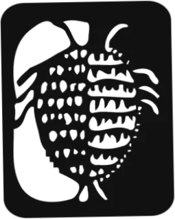 Cochenille