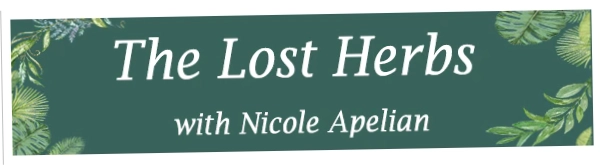 Lost Book Of Herbal Remedies
