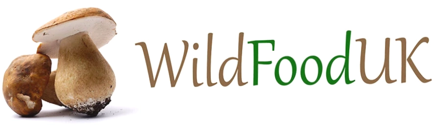 Wild Food Uk