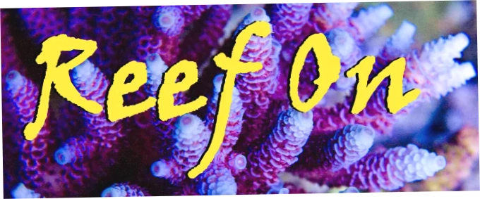 Reef On