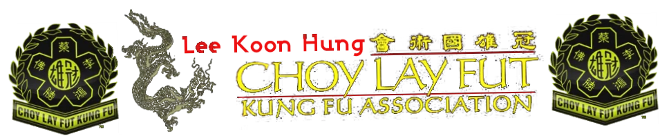 Lee Koon Hung Kung Fu