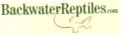 Backwater Reptiles
