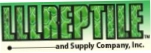 LLLReptile