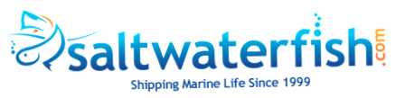 Saltwaterfish.com