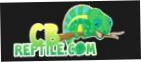 CB Reptile