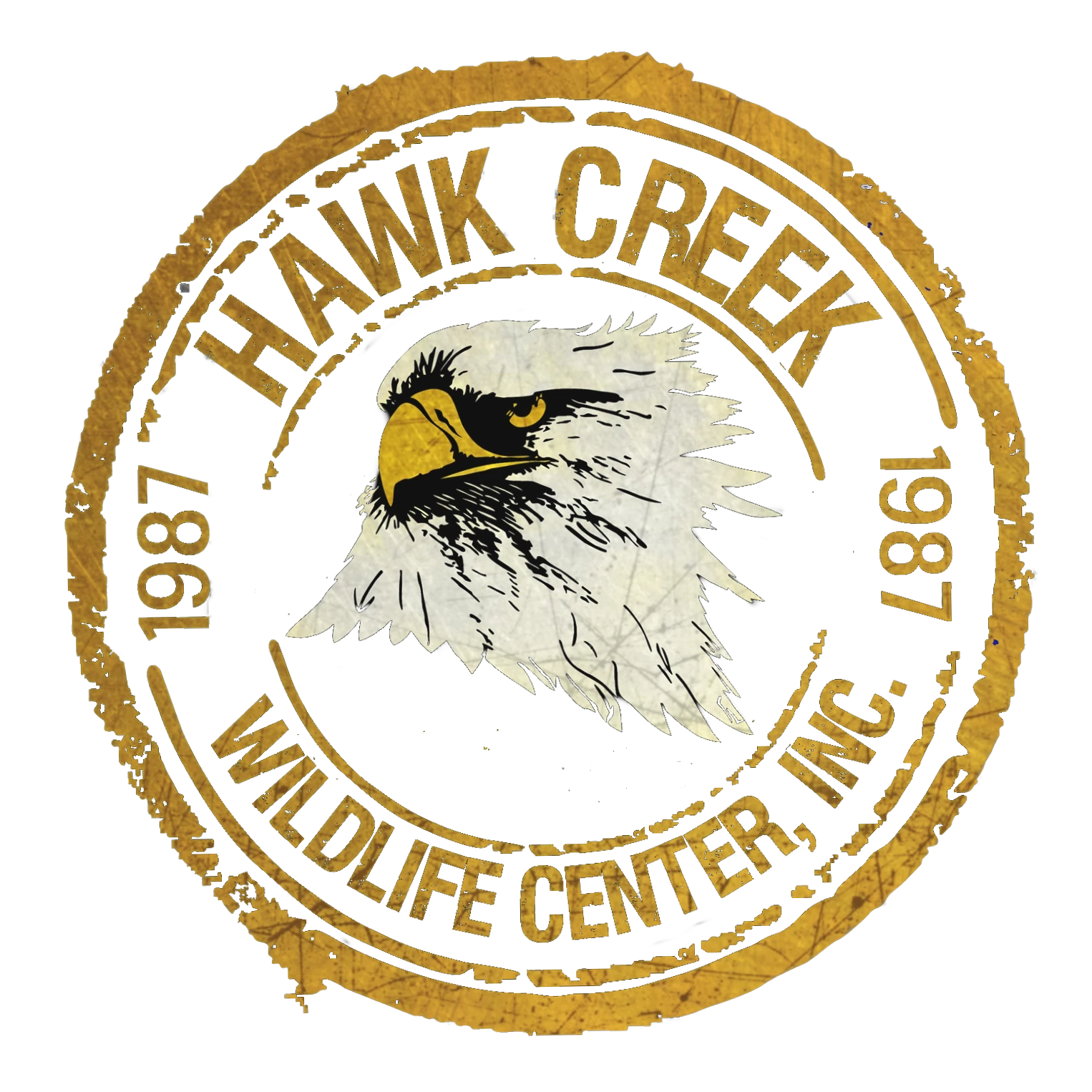 Hawk Creek