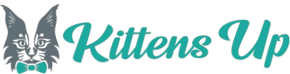 Kitten