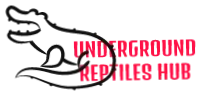 Underground Reptiles Hub