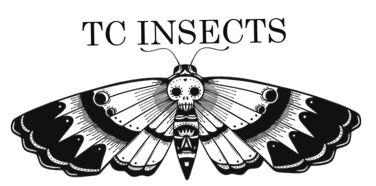 Tcinsects
