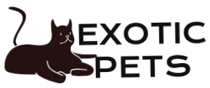 Exotic Pets For Sale