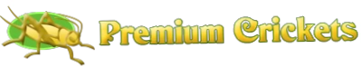 Premium Crickets