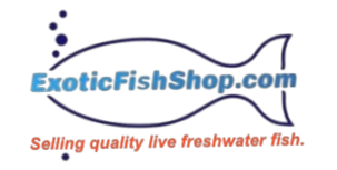 Exotic Fish Shop