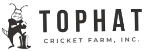Top Hat Crickets