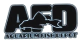 Aquarium Fish Depot