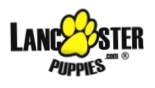 Lancaster Puppies