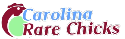 Carolina Rare Chicks