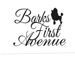 Barks First Avenue